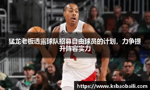 猛龙老板透露球队招募自由球员的计划，力争提升阵容实力