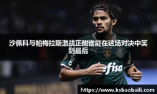 沙佩科与帕梅拉斯激战正酣谁能在这场对决中笑到最后